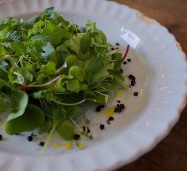 Green Leaf Salad